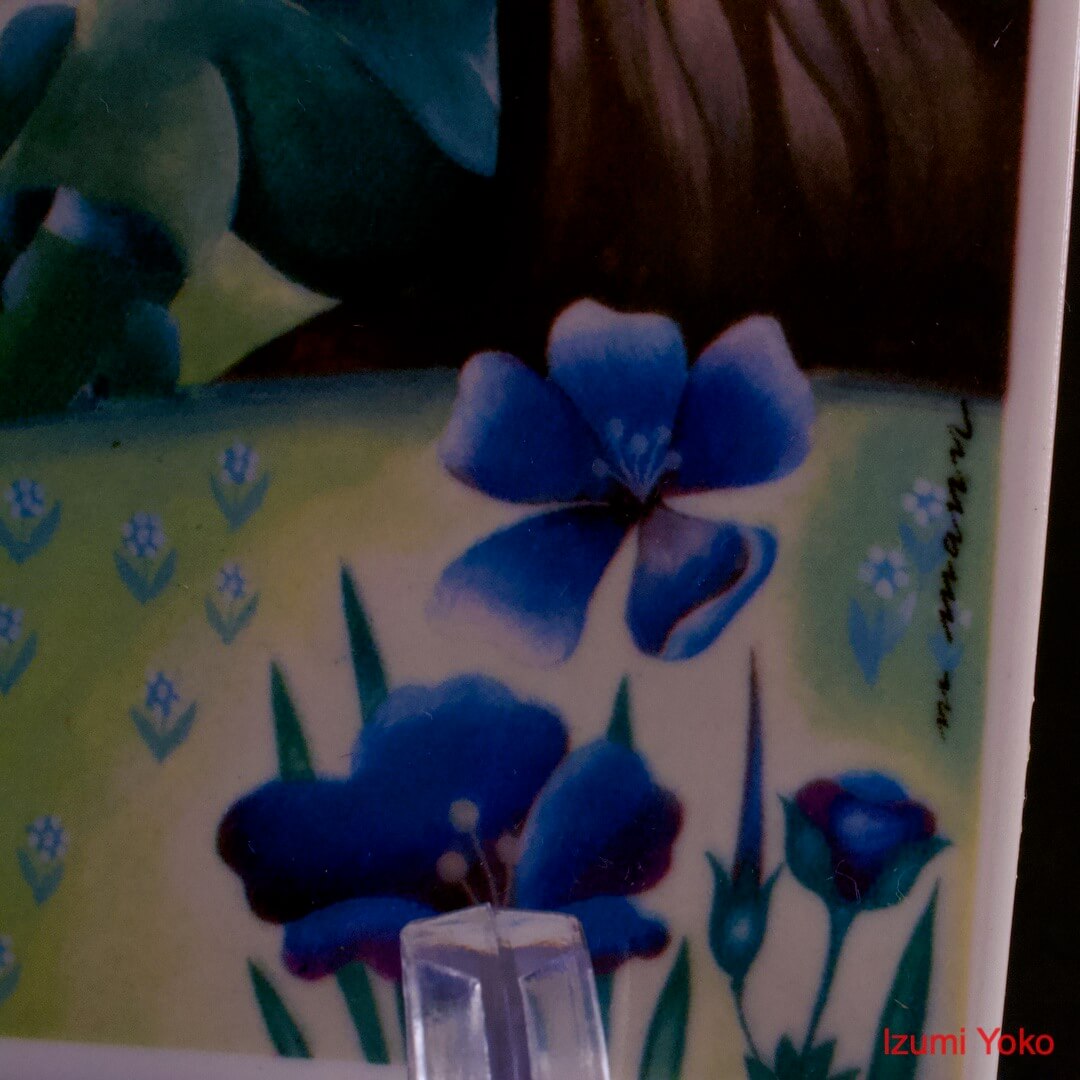 Ceram Card Villeroy & Boch VilboCard - 画像 (7)